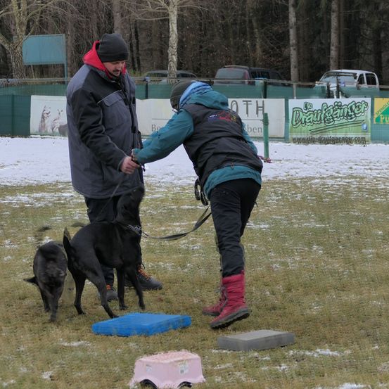 Bild enthält, Coat, Person, Adult, Male, Man, Canine, Dog, Shoe, Car, Glasses
