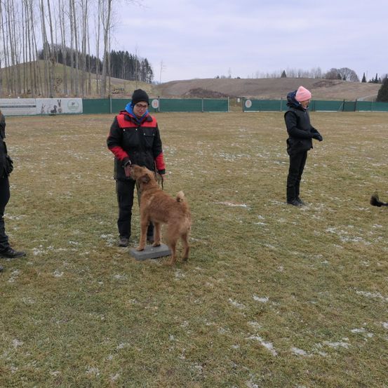 Bild enthält, Person, Adult, Male, Man, Canine, Dog, Coat, Jacket, Terrier, Shoe