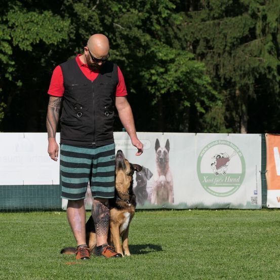 Ein Mann mit Tätowierungen und Sonnenbrille trainiert einen Deutschen Schäferhund auf einem Rasenfeld. Der Hund steht auf dem Boden und schaut etwas an. Dahinter befindet sich ein weißer Zaun mit einem Poster von Hunden.