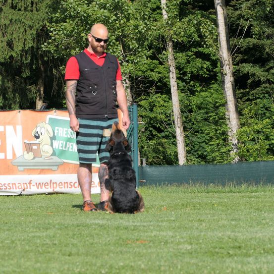 Ein Mann in einer schwarzen Weste trainiert einen deutschen Schäferhund auf einem Rasen. Dahinter befindet sich ein Zaun mit einem orangefarbenen Banner.