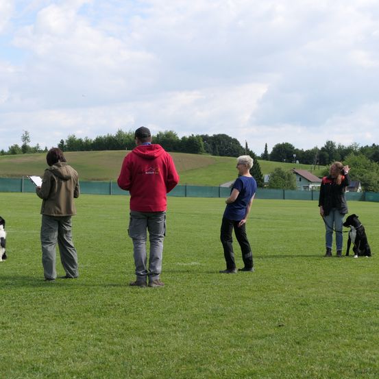 Fünf Personen und zwei Hunde auf einem Feld mit Bäumen und einem Haus im Hintergrund.