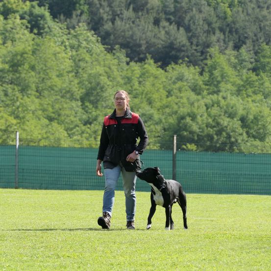 Eine Frau führt einen schwarz-weißen Hund an der Leine in einem eingezäunten Grasfeld. Bäume und ein Wald sind im Hintergrund.