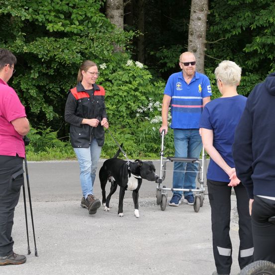 Eine Gruppe von Menschen steht draußen in der Nähe eines Hundes. Eine Frau führt den Hund, während ein Mann mit einem Rollator zusieht. Der Hintergrund zeigt Grünflächen.