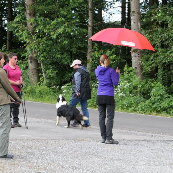 Mehrere Menschen gehen auf einem Schotterweg, einer von ihnen hält einen Hund an der Leine. Eine Frau hält einen roten Regenschirm.