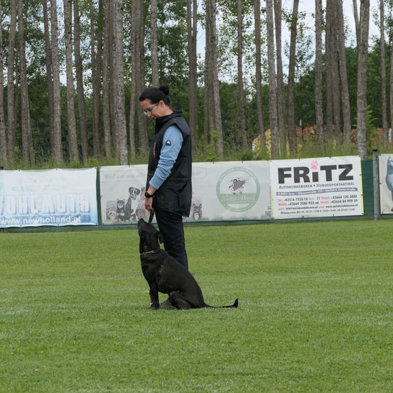 Eine Frau trainiert ihren schwarzen Hund auf einem grünen Feld, umgeben von Bannern. Die Frau trägt eine Brille und eine blaue und schwarze Weste. Der Hund sitzt auf dem Boden und schaut zu ihr hoch. Dahinter stehen Bäume und ein Zaun.