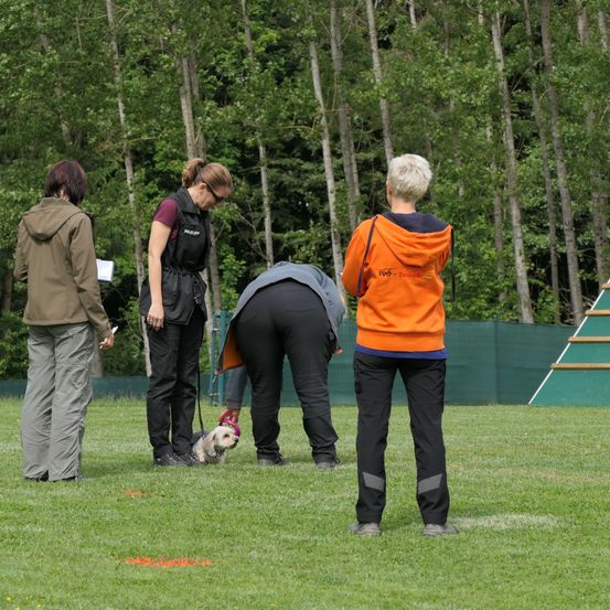 Eine Gruppe von Menschen mit einem Hund an der Leine auf einem Feld, wobei eine Frau vor dem Hund gebeugt ist.