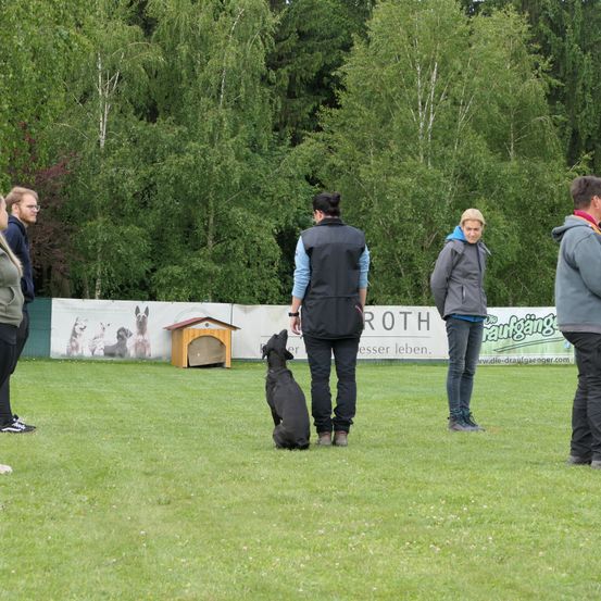 Eine Gruppe von Menschen steht auf einem Grasfeld mit einem Hund. Der Hund sitzt auf dem Boden und schaut etwas an. Hinter ihnen befindet sich eine Wand mit einem Banner und einem kleinen Haus. Es gibt auch Bäume und Büsche in der Gegend.