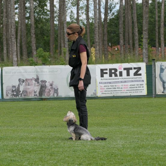 Eine Frau in einer Weste trainiert einen kleinen Hund auf einem grünen Feld, mit einem Banner, das eine Hundesportveranstaltung bewirbt.