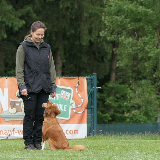 Eine Frau in einer Weste und Hose trainiert einen Hund auf einem Rasen. Der Hund sitzt, und die Frau hält einen Leckerli in der Hand. Hinter ihnen steht ein Zaun mit einem Banner und Bäumen.