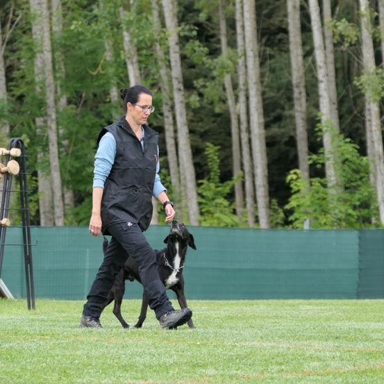 Eine Frau in einem blauen Shirt und einer schwarzen Weste führt einen schwarz-weißen Hund auf einem Rasen.