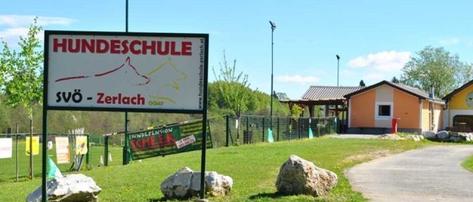Bild enthält, Grass, Outdoors, Shelter, Advertisement, Nature, Park, Housing