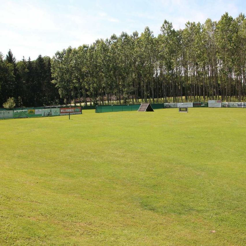 Bild enthält, Grass, Field, Ground, Nature, Outdoors, Park, Person, Car