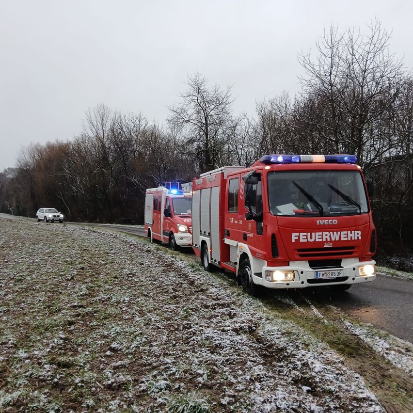 Zwei rote Feuerwehrfahrzeuge sind am Rande einer verschneiten Straße mit Bäumen und einem Auto in der Ferne geparkt.