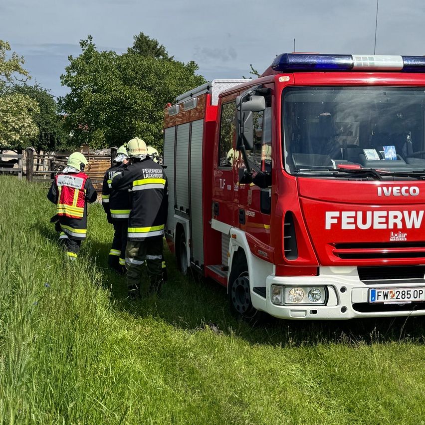 Ein roter Iveco Feuerwehrwagen steht auf einem Feld. Feuerwehrleute in Uniformen stehen dahinter. Bäume und ein Zaun sind im Hintergrund.