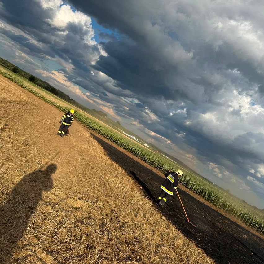 Two firefighters are standing in a field of wheat, wearing yellow helmets. One holds a broom. The field is wide, with green plants on the side. The sky is cloudy.