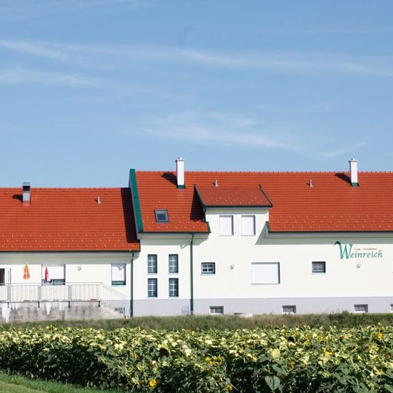 Ein weißes Gebäude mit rotem Dach und grünem Rand steht inmitten eines Sonnenblumenfeldes an einem sonnigen Tag. Das Gebäude hat mehrere Fenster und einige Schornsteine auf dem Dach.