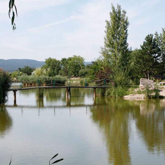 Ein friedlicher See mit einer Holzbrücke und üppiger Grünfläche. Das Wasser ist ruhig und spiegelt die Bäume und den Himmel wider. Berge in der Ferne.