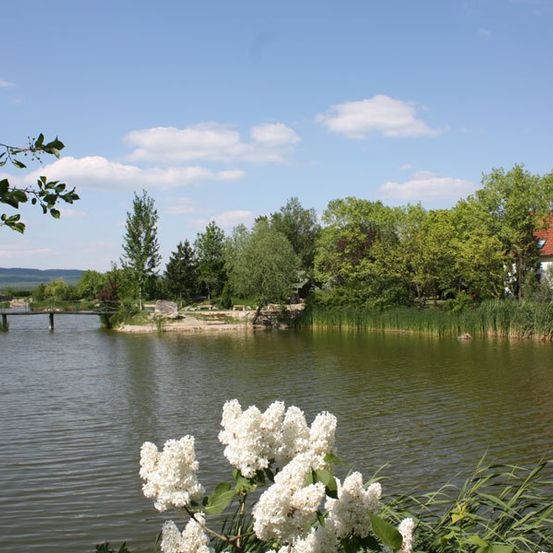 Ein ruhiger See mit einer kleinen Brücke, umgeben von üppiger Vegetation und Bäumen. Ein Haus mit rotem Dach steht rechts, unter einem blauen Himmel mit verstreuten Wolken.
