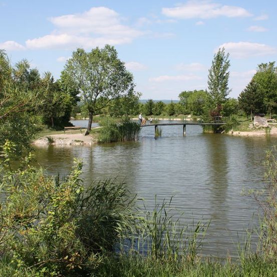 Ein ruhiger See mit einer Holzbrücke, umgeben von üppigem Grün, unter einem teilweise bewölkten Himmel.