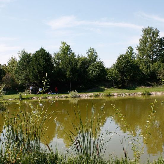 Ein ruhiger Teich mit klarem grünlichem Wasser ist von saftigem grünem Gras und Bäumen umgeben, unter einem klaren blauen Himmel. Ein paar Leute sitzen auf der Grasfläche.