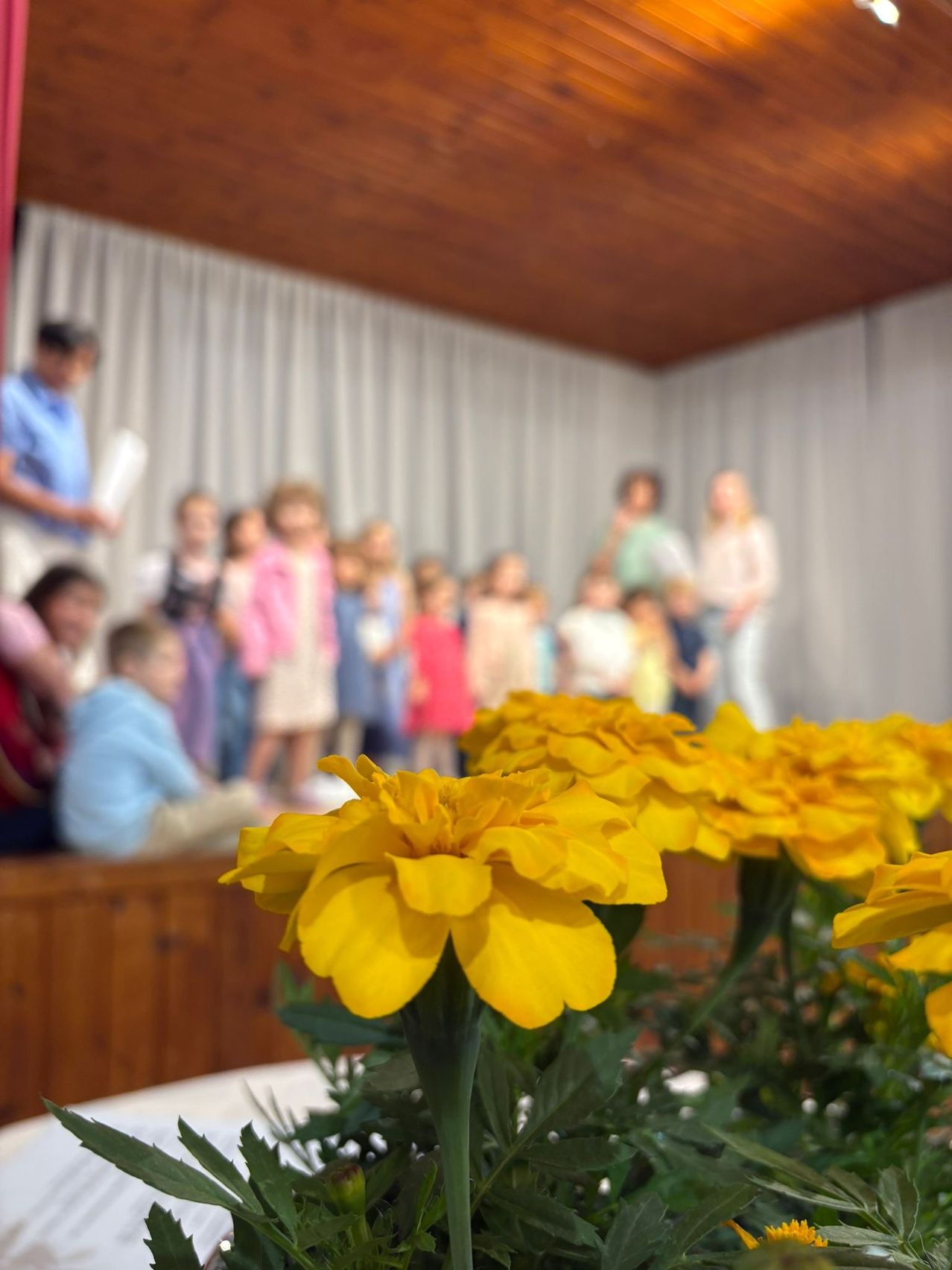 Kinder stehen auf einer Bühne mit gelben Blumen im Vordergrund. Dahinter stehen Erwachsene. Die Bühne ist mit weißem Stoff bedeckt.