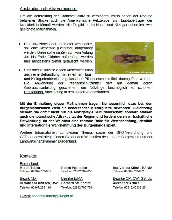 Ein Dokument gibt Anweisungen zur Verhinderung der Ausbreitung einer amerikanischen Rebkrankheit durch spezifische Methoden und Behandlungen, wie das Aufhängen von Fallen und das Auftragen von Schutzsprays, um die Weinberge zu schützen. Es betont auch die Bedeutung dieser Maßnahmen für das kulturelle Erbe und den Tourismus.