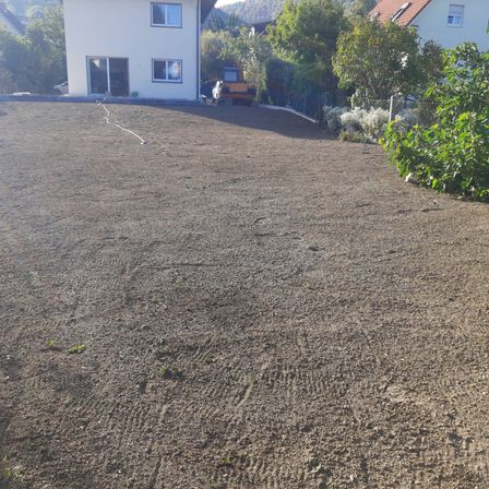 Ein Haus mit einer Glastür und Fenstern befindet sich in einem Hinterhof. Hinter dem Haus ist ein Baufahrzeug geparkt. Der Boden ist mit Erde bedeckt und hat einige Reifenspuren. Es gibt Bäume und Pflanzen um das Haus herum.