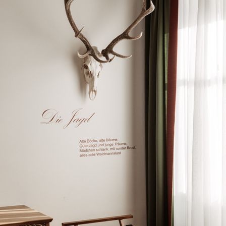 Bild enthält, Antler, Animal, Antelope, Mammal, Wildlife