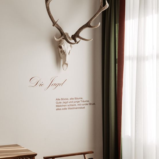 Bild enthält, Antler, Animal, Antelope, Mammal, Wildlife