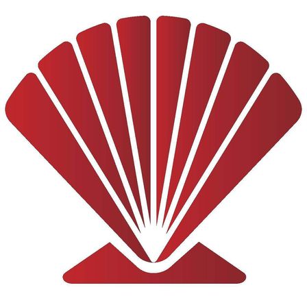 Bild enthält, Animal, Clam, Food, Invertebrate, Sea Life, Seafood, Seashell