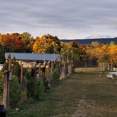 Ein Bauernhof mit einem grauen Dach, umgeben von Bäumen und Büschen. In der Ferne befinden sich Berge und ein bewölkter Himmel. Vor dem Hof stehen Lampen und ein Zaun.