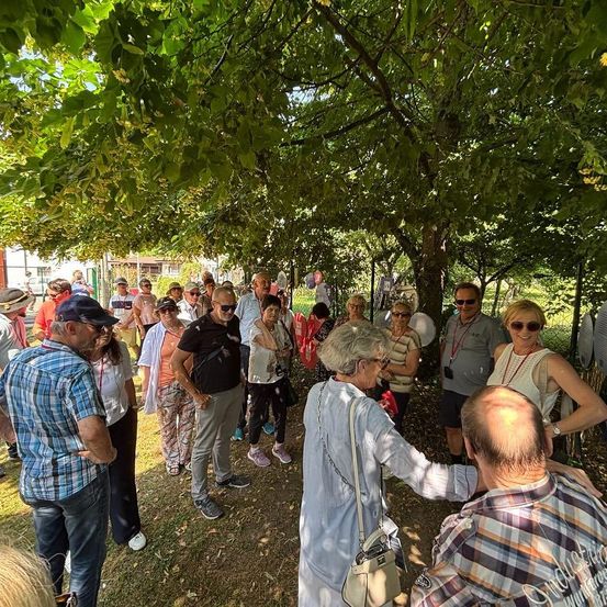 Eine Gruppe älterer Menschen versammelt sich unter einem Baum, einige tragen Hüte und Brillen, andere haben Taschen bei sich. Sie scheinen in ein Gespräch vertieft zu sein.