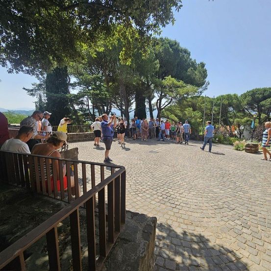 Eine Gruppe von Menschen versammelt sich auf einem kreisförmigen Kopfsteinpflaster, einige machen Fotos, während andere auf einer Bank unter Bäumen sitzen. Eine Person geht allein auf dem Weg.