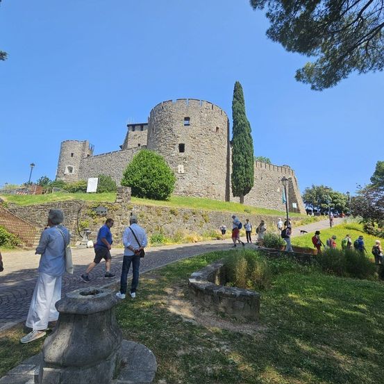 Besucher gehen auf einem Pfad, der zu einer Burg führt, umgeben von üppigem Grün und einem klaren blauen Himmel. Die Burg ist eine historische Struktur mit Steinmauern und einem hohen Baum im Vordergrund.