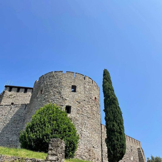 Eine alte Steinburg steht mit einem runden Turm und einem hohen Baum davor, unter einem klaren blauen Himmel.