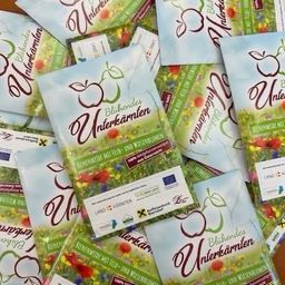 Ein Stapel von Werbebroschüren für 'Bluhende Unterkarnten' mit verschiedenen Blumendesigns auf einer Holzoberfläche. Jede Broschüre hat ein anderes Blumendesign.