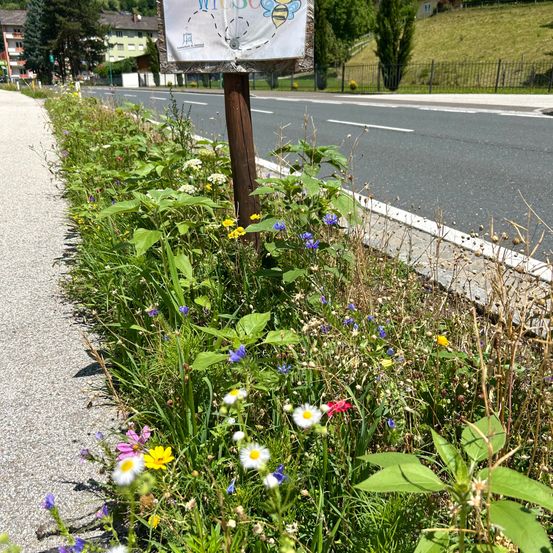 Ein Straßenrand mit einer Vielzahl von Wildblumen, einem hölzernen Schild mit einer Biene und einem weißen Schild sowie einer Straße mit einer weißen Linie und einem Grasbereich.
