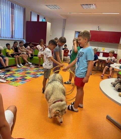 Eine Gruppe von Kindern beobachtet einen Hund, der Tricks in einem Klassenzimmer vorführt. Zwei Jungen spielen mit dem Hund mit einem Hula-Hoop.