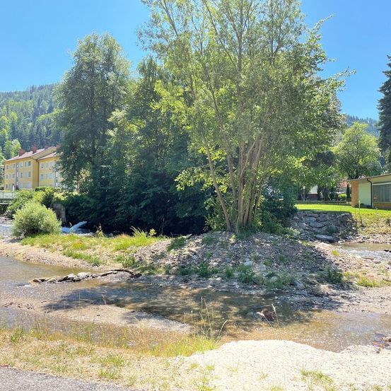 Bild enthält, Vegetation, Tree, Fir, Nature, Outdoors, Scenery, Grove, Land, Woodland, Shelter