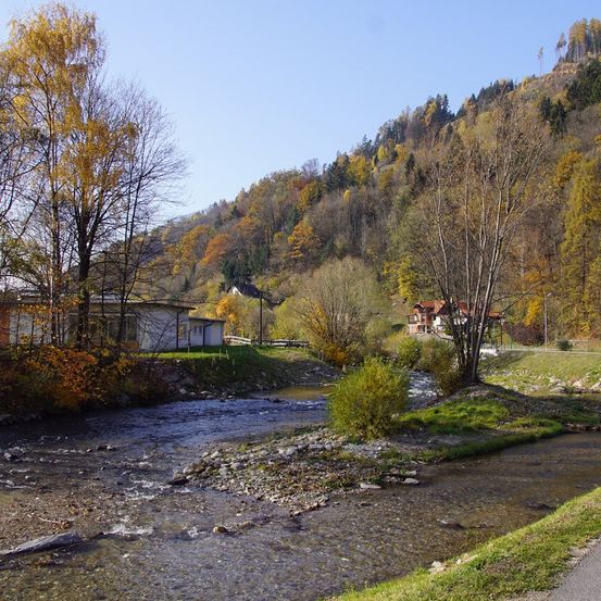 Bild enthält, Road, Nature, Outdoors, Scenery, Creek, Stream, Water, Tree, Fir, Gravel