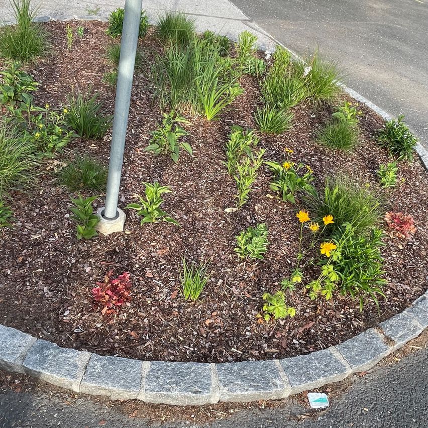 A small flower bed surrounds a metal pole. It features a mix of green plants and yellow flowers, bordered by gray stones.