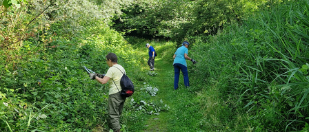 Drei Personen räumen einen Pfad im Wald. Zwei benutzen Werkzeuge, um durch die Vegetation zu schneiden. Die dritte Person geht auf dem Pfad.