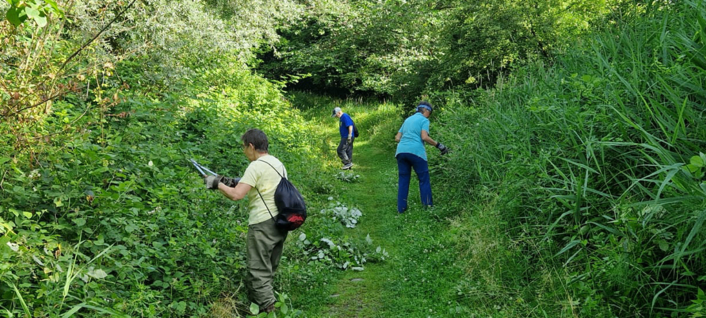 Drei Personen räumen einen Pfad im Wald. Zwei benutzen Werkzeuge, um durch die Vegetation zu schneiden. Die dritte Person geht auf dem Pfad.
