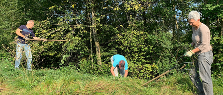 Eine Person in einem blauen Shirt und einer Kappe beugt sich in einem Grasbereich in der Nähe eines Waldes vor, um zu arbeiten.
