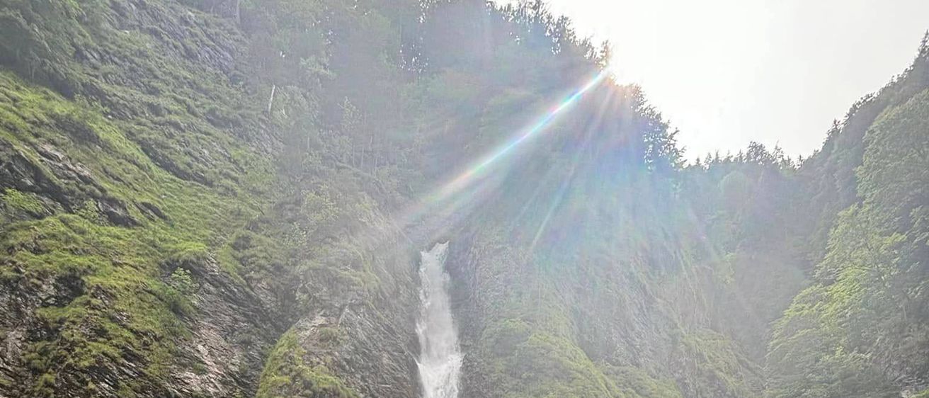 Ein Wasserfall stürzt von einem steilen felsigen Abhang herab, umgeben von Moos und grünem Laub unter einem hellen Sonnenschein.