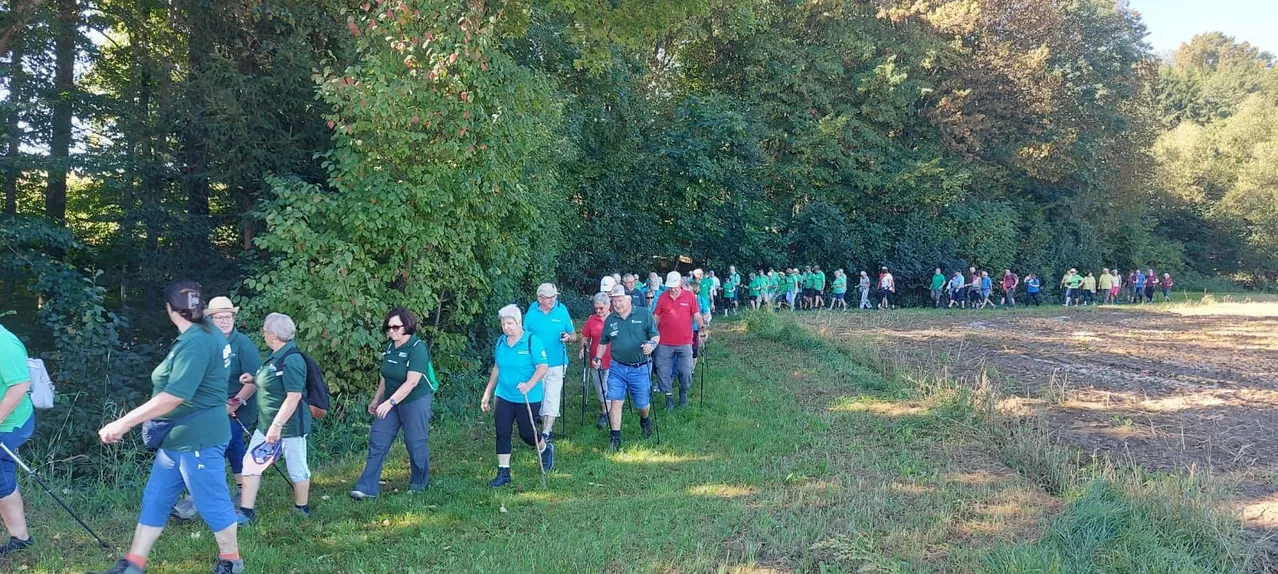 Eine Gruppe von Menschen in grünen und roten Shirts geht auf einem Grasweg in einem Wald, einige mit Gehstöcken. Sie sind von Bäumen umgeben.