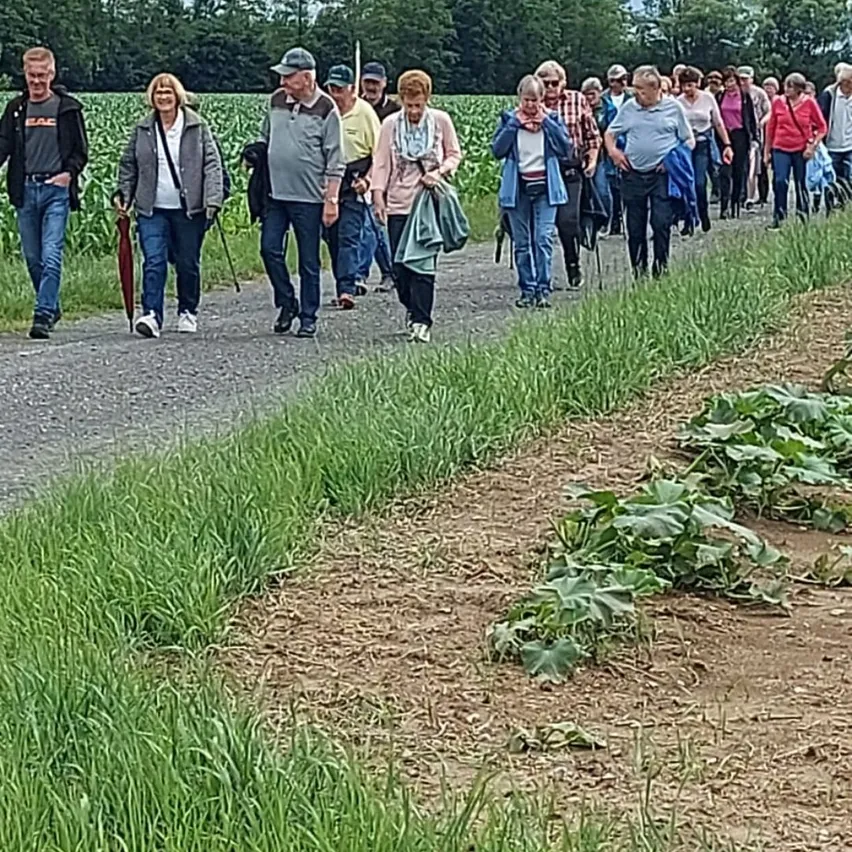 Eine Gruppe von Menschen geht auf einem Kiesweg in einem Maisfeld mit grünen Bäumen und Gras.