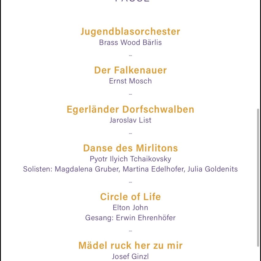 The image displays a music program. The first piece is by the Jugendblasorchester Brass Wood Barlis. The second is Der Falkenauer by Ernst Mosch. The third is Egerländer Dorfschwalben by Jaroslav List. The fourth is Danse des Mirlitons by Pyotr Ilyich Tchaikovsky, with soloists Magdalena Gruber, Martina Edelhofer, and Julia Goldenits. The fifth is Circle of Life by Elton John, with singing by Erwin Ehrenhofer. The sixth is Mädel rück her zu mir by Josef Ginzl.