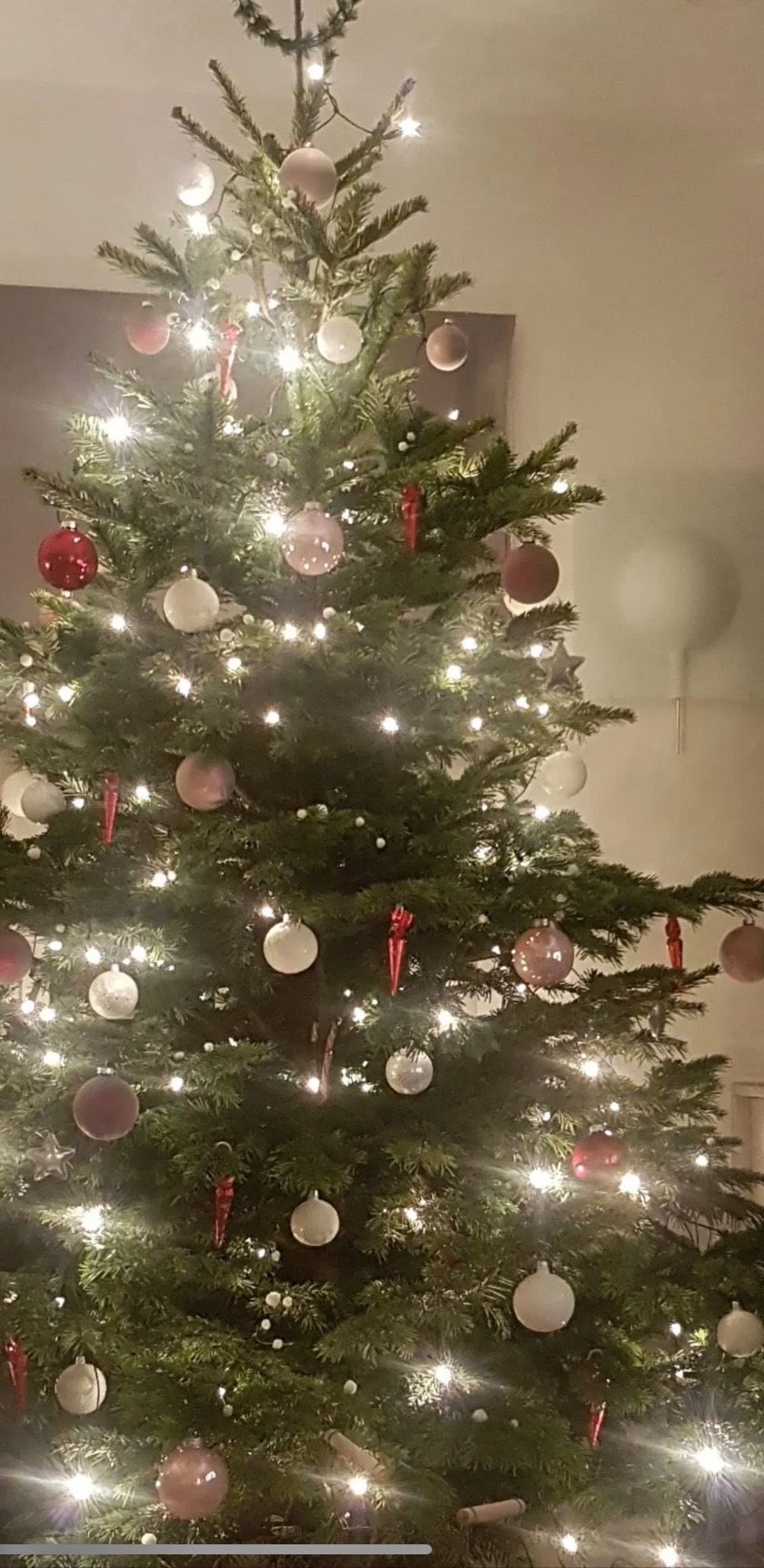Christmas, Christmas Decorations, Festival, Christmas Tree, Christmas Tree Ornaments, Plant, Tree, Balloon