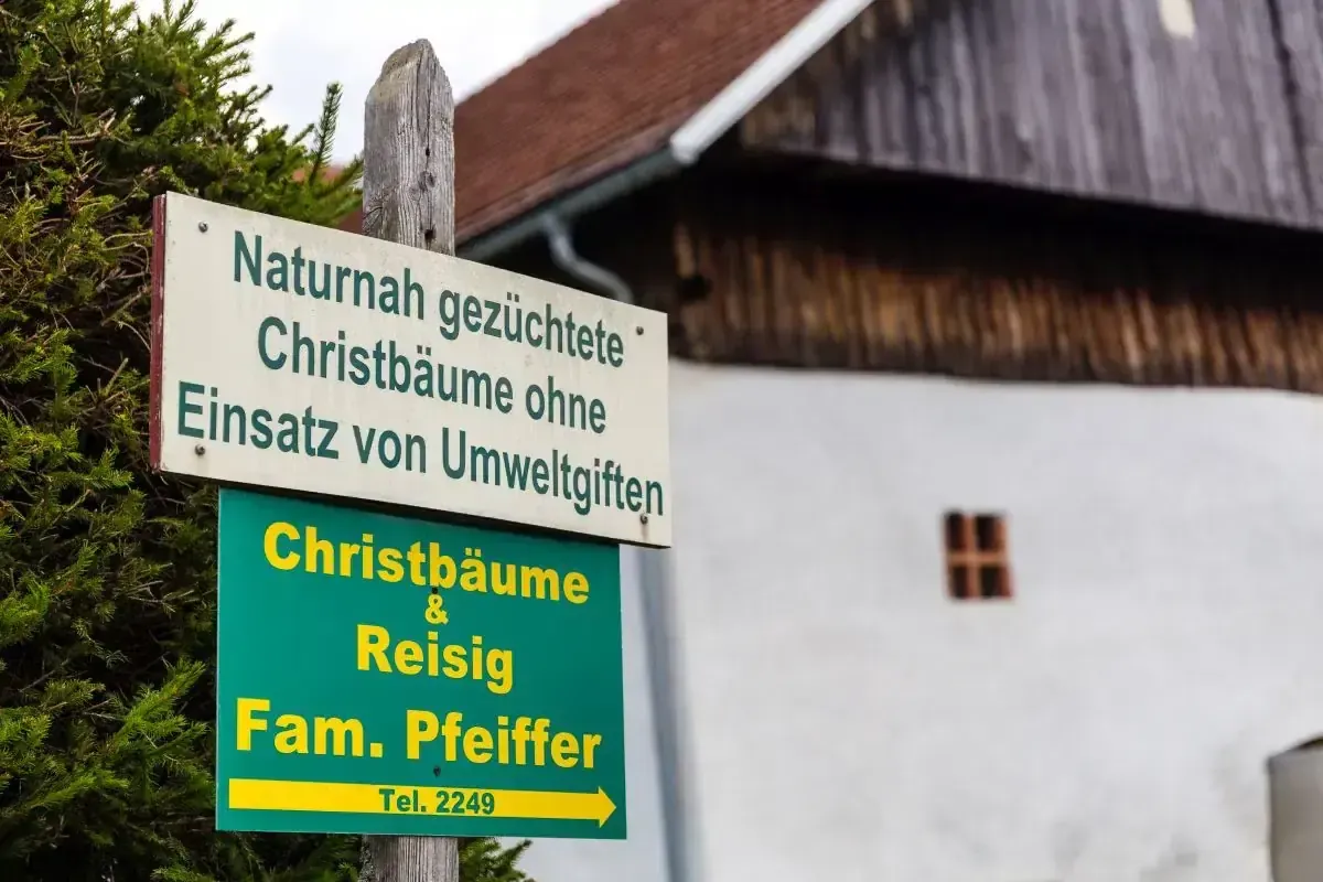 Ein Schild für naturnah angebaute Christbäume ohne Umweltgifte, betrieben von Fam. Pfeiffer, mit der Telefonnummer 2249.